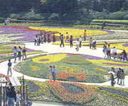 �t�����[�t�F�X�^�ʐ^