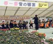 �t�����[�t�F�X�^�ʐ^