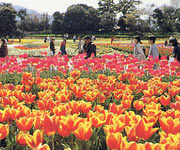 �t�����[�t�F�X�^�ʐ^