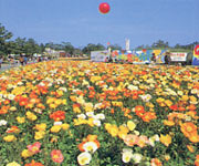 �t�����[�t�F�X�^�ʐ^