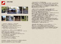 ����ˁi�����Ȃׂ͂�j����