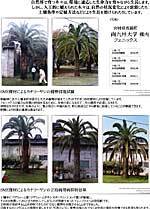 �J�i���[���V�̎�����